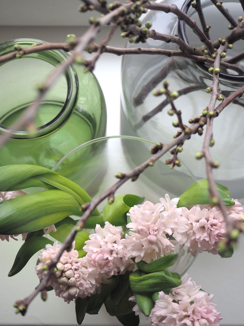 Hieman jo pääsiäistä – hyasintin ja kirsikankukan kanssa